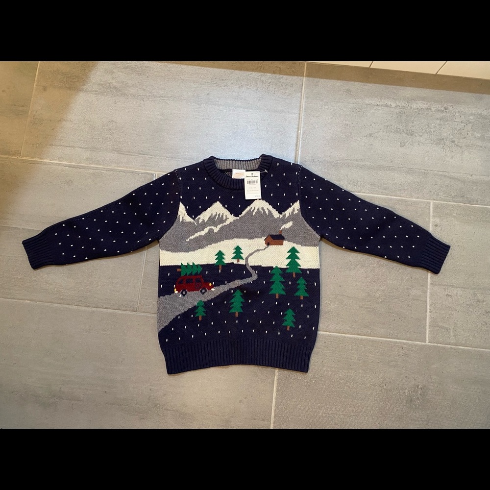 NWT size 4 (100) Hanna Andersson Sweater